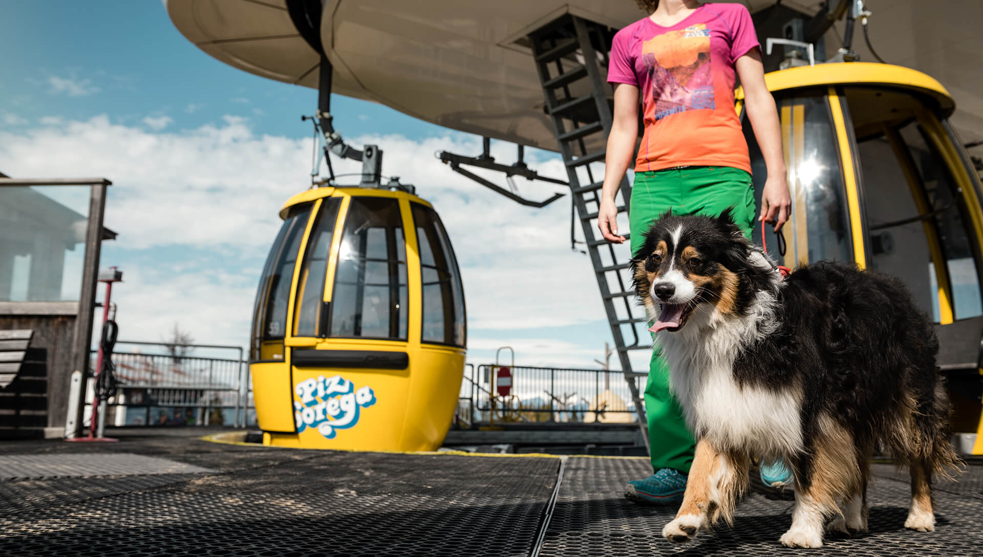 Dog friendly Parchi Movimënt estate