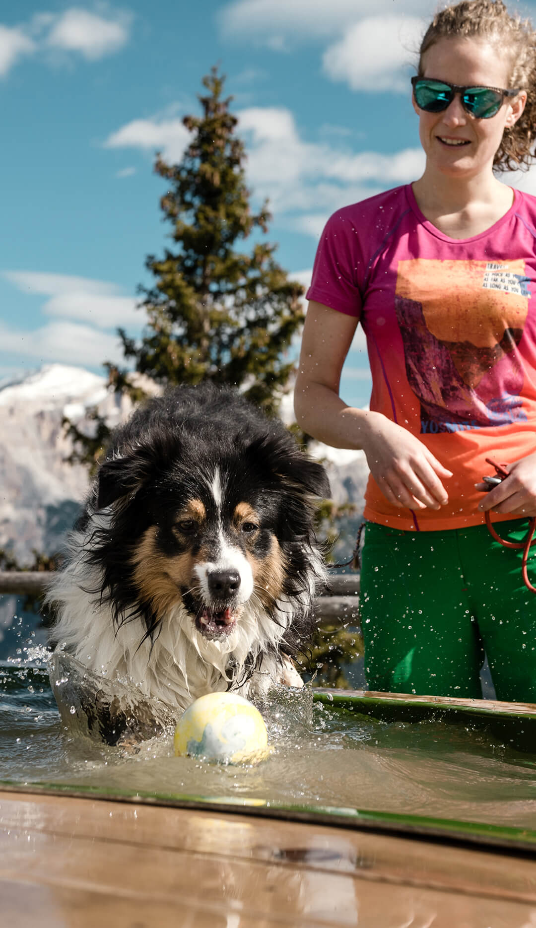 Dog friendly Parchi Movimënt estate